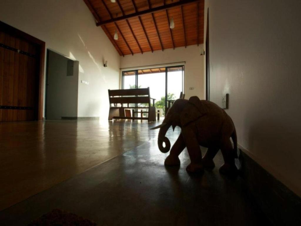 Mangrove Escapes Resort Bentota Exterior photo