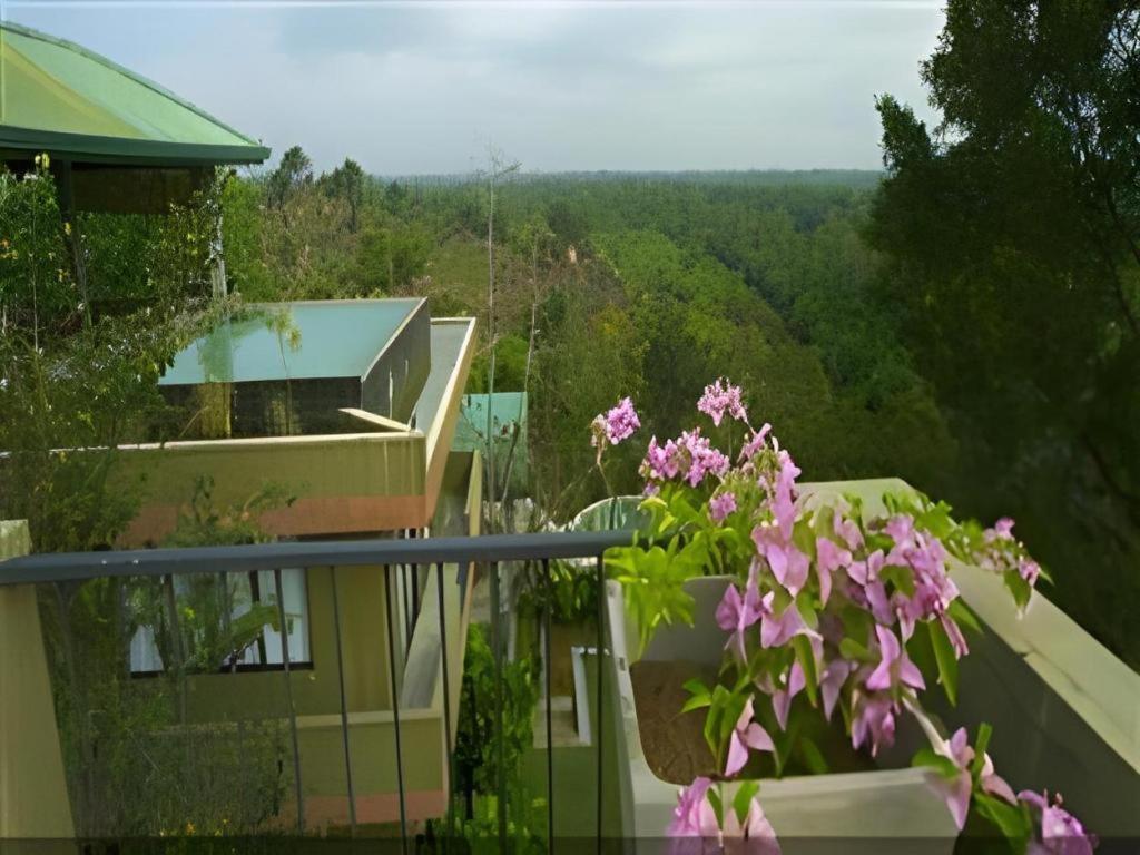 Mangrove Escapes Resort Bentota Exterior photo