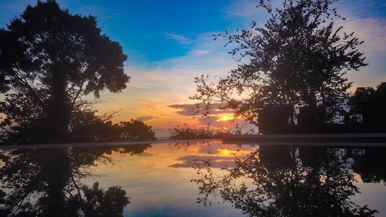 Mangrove Escapes Resort Bentota Exterior photo