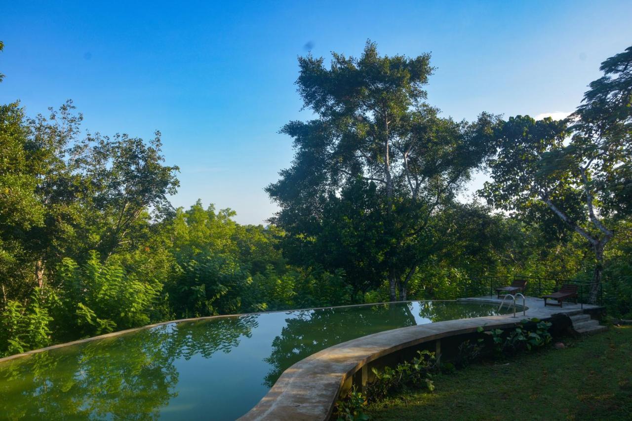 Mangrove Escapes Resort Bentota Exterior photo